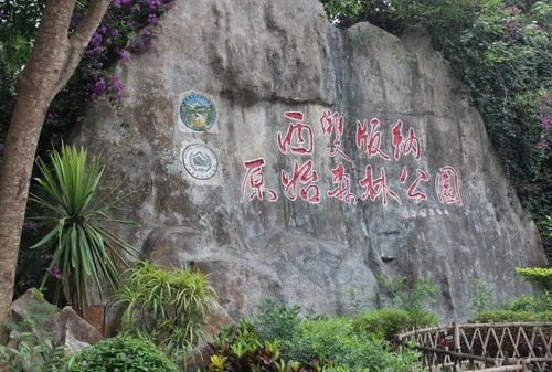 ʯ��ׯ��˫����������·�Ƽ� ʯ��ׯ����˫����˫������