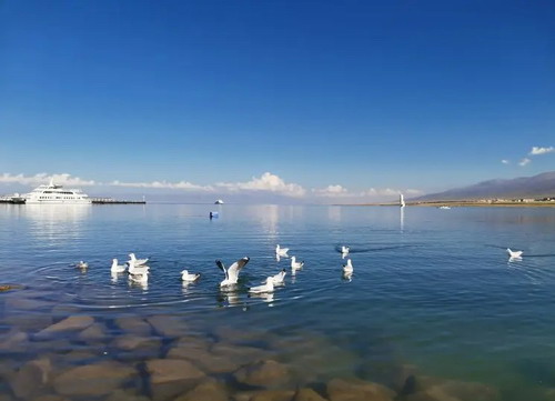 ʯ��ׯ���ຣ��/�迨�κ�/������/����׿��ɽ/��Դ˫��������