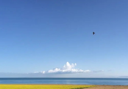 ʯ��ׯ���ຣС���� �ຣ�� �迨�κ� ��̨���˶���˫������