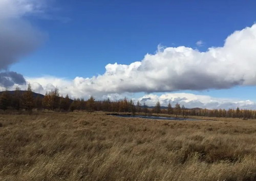 石家庄到呼伦贝尔草原旅游 内蒙古呼伦贝尔草原双飞6日游