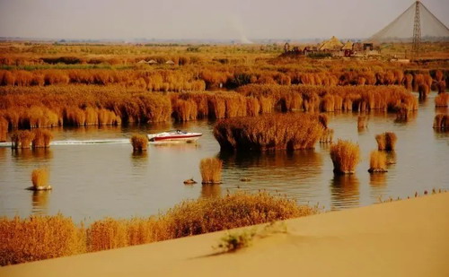 ʯ��ׯ���������� ��ĩ������˫��������