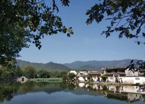 ʯׯ®ɽ  Դ ®ɽ ϲ˫7ȫ