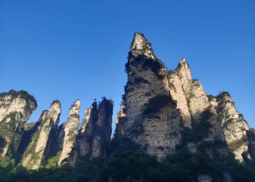 ʯ��ׯ���żҽ����� �����żҽ�˫������