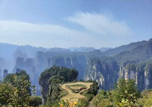 ʯ��ׯ���������� ʯ��ׯ���żҽ�����������