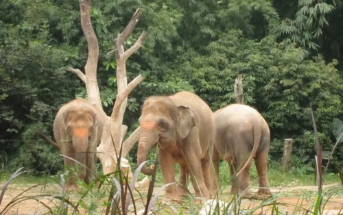 ʯ��ׯ������������· �麣��¡˫��԰˫��5����