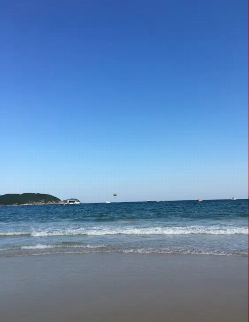 ʯ��ׯ���������� ������֧�޵� ��������˹����������