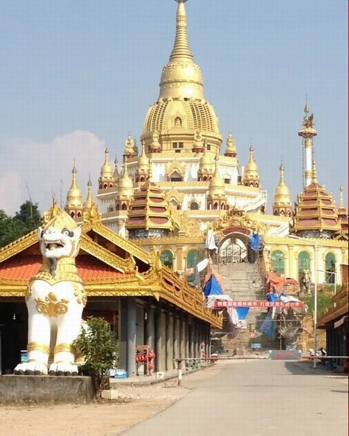 ʯ��ׯ��������˫���������� ԭʼɭ�� Ұ���ֱ������