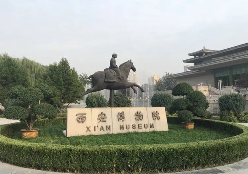 ʯ��ׯ��������ѧ ���� ����ٸ ��ǽ ���������˫��5��