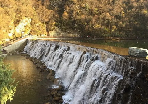 ʯ��ׯ���ຣ���� ������|���|����ɽ|�迨�κ�˫��������