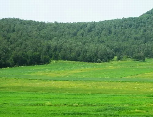 石家庄到草原旅游 穿越锡林郭勒全景草原深度纯玩3日